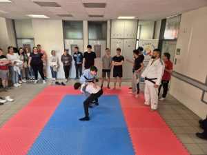judo